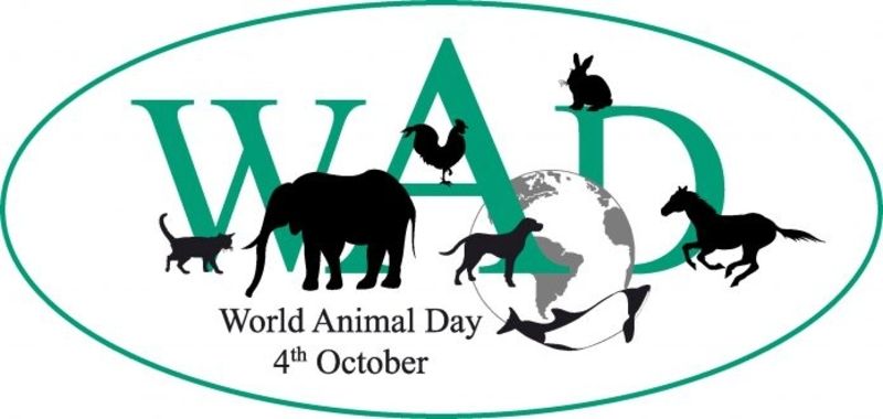 Svetski dan životinja: 4. oktobar