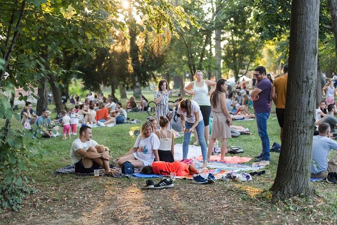 Dolaziš li u nedelju na piknik?