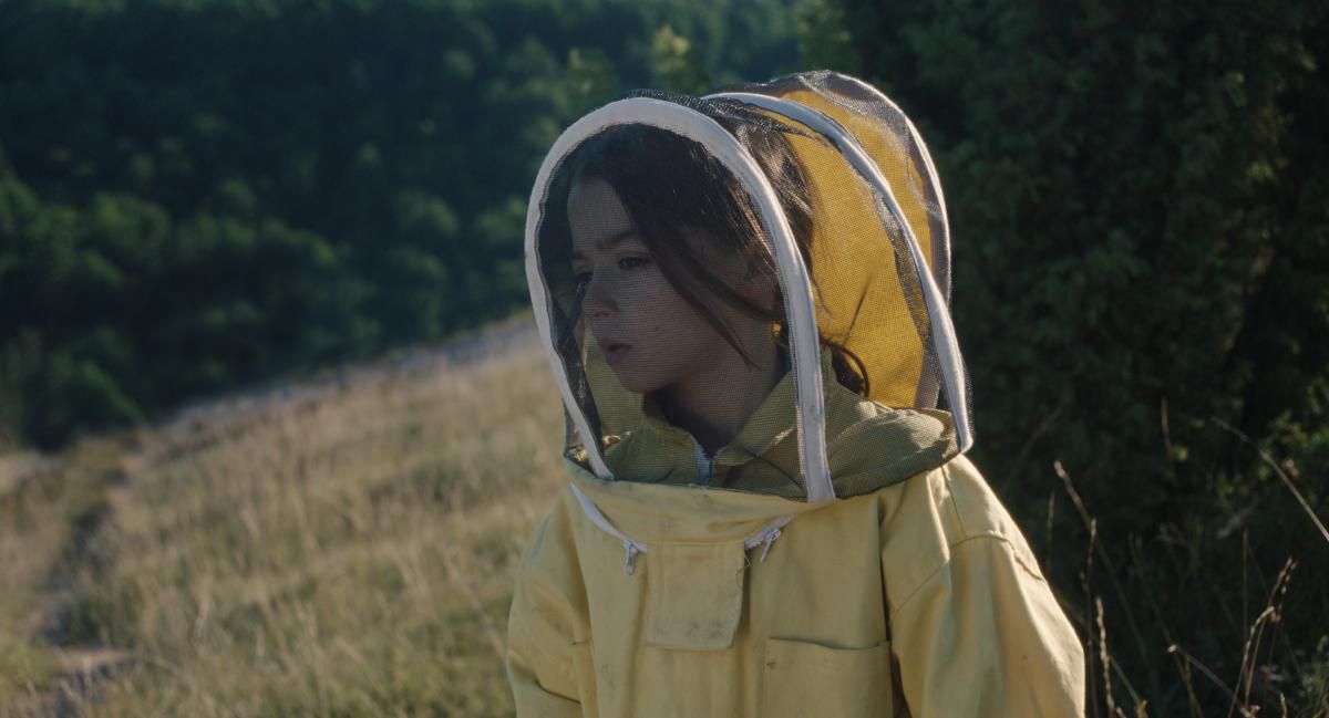 Članovi Španske filmske akademije nominovali su „20.000 vrsta pčela” (20,000 Species of Bees / 20.000 especies de abejas) za najbolji film, originalni scenario, reditelja debitanta, glavnu glumicu (Pa