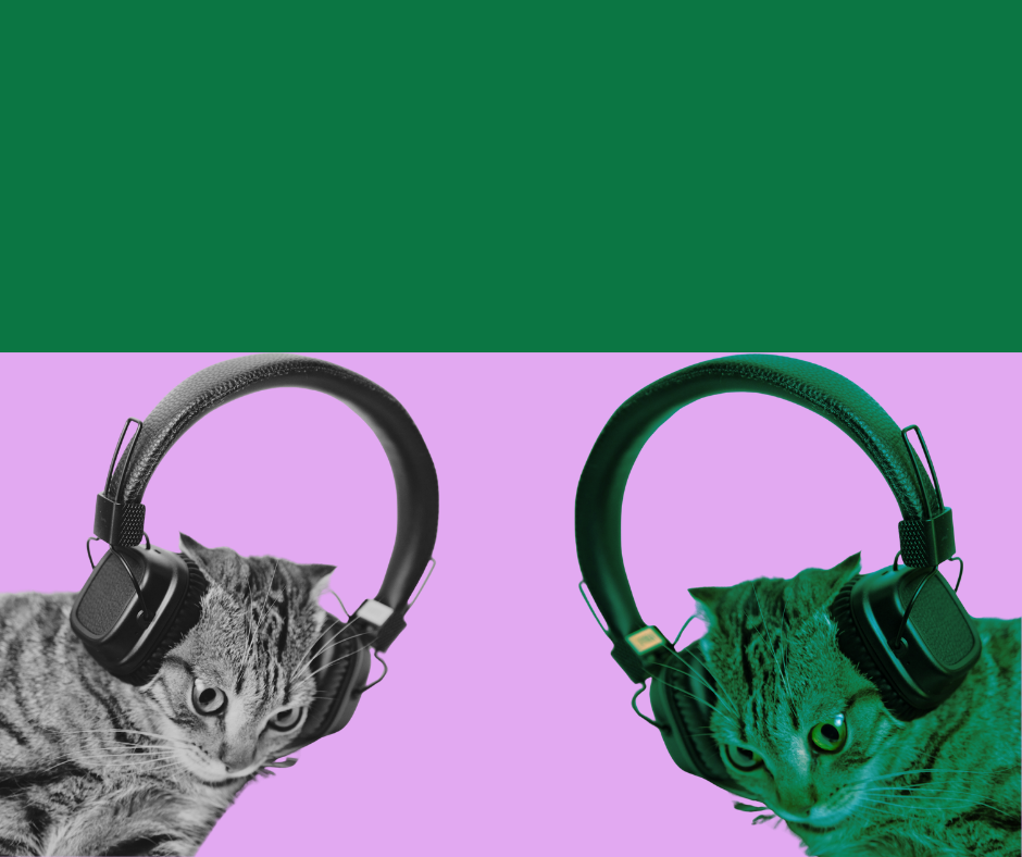 (Novi) bendovi na koje treba obratiti pažnju u 2026. godini