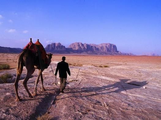 Beduin (ili kako opstati u pustinji)