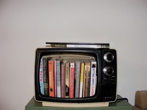 Televizor - tvoj pogled u svet
