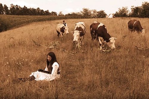 Putujući festival dokumentarno-etnološkog filma „Mladenci“
