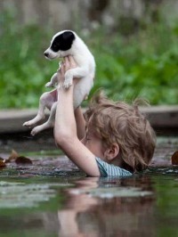 DeÄak spasava psa: fotografija uslikana za vreme proÅ¡logodiÅ¡njih poplava