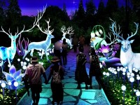 Prvi Kineski festival svetla na Kalemegdanu