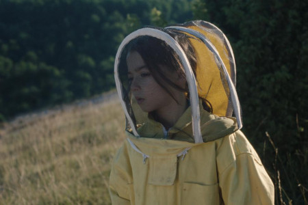 Članovi Španske filmske akademije nominovali su „20.000 vrsta pčela” (20,000 Species of Bees / 20.000 especies de abejas) za najbolji film, originalni scenario, reditelja debitanta, glavnu glumicu (Pa