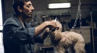 Festival evropskog filma Palić predstavlja “Best of Europe 2018”